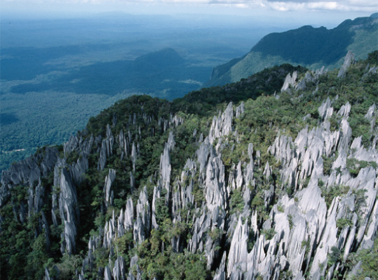 The Pinnacles