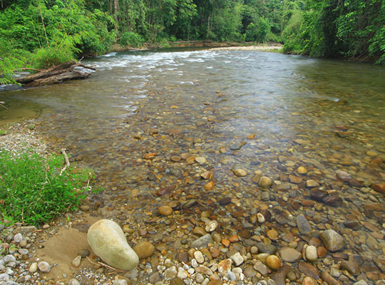 3D2N Mulu Pinnacles
