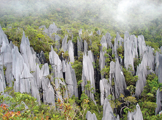 5D4N Mulu Show Caves + Pinnacles + Headhunter Trails