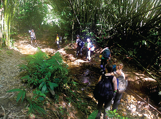 5D4N Mulu Show Caves + Pinnacles + Headhunter Trails